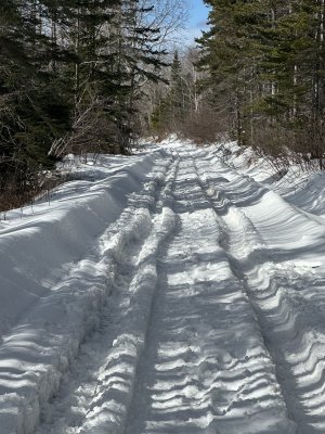 IMG_2483.jpeg IMG_2483.jpeg