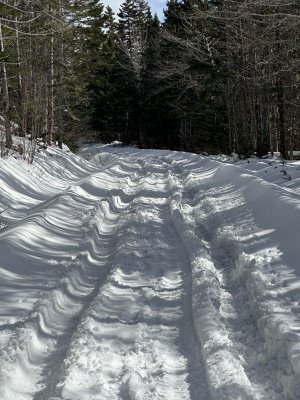 IMG_2482.jpeg IMG_2482.jpeg