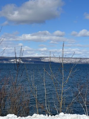 IMG_2484.jpeg IMG_2484.jpeg