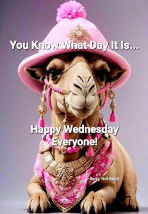 1772042006254.jpeg 1772042006254.jpeg