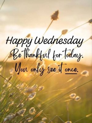 IMG_2490.jpeg IMG_2490.jpeg