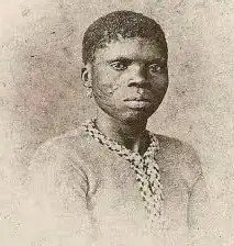 download-ezgif.com-png-to-jpg-converter.jpg download-ezgif.com-png-to-jpg-converter.jpg