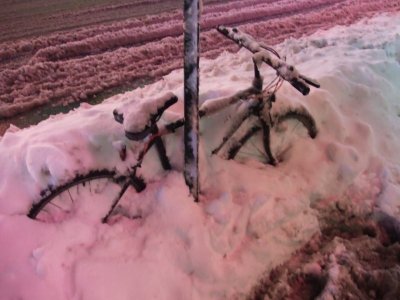 2006_0316NY0210.JPG 2006_0316NY0210.JPG