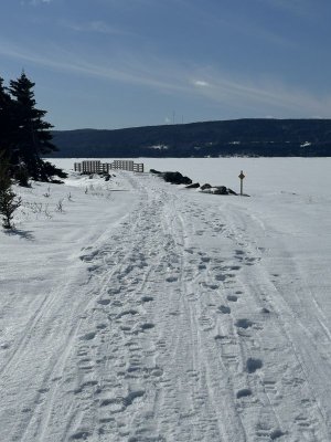 IMG_2509.jpeg IMG_2509.jpeg