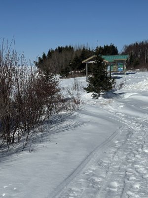 IMG_2506.jpeg IMG_2506.jpeg