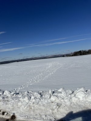 IMG_2504.jpeg IMG_2504.jpeg