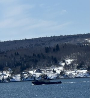 IMG_2518.jpeg IMG_2518.jpeg