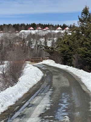 IMG_2533.jpeg IMG_2533.jpeg