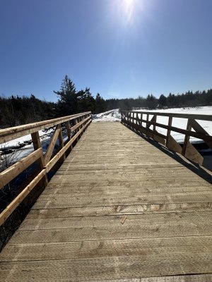 IMG_2535.jpeg IMG_2535.jpeg