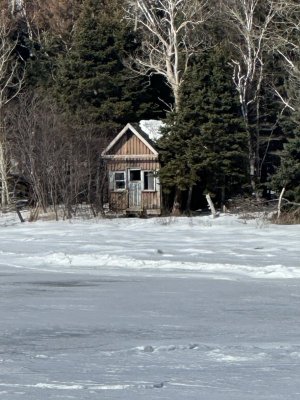 IMG_2534.jpeg IMG_2534.jpeg