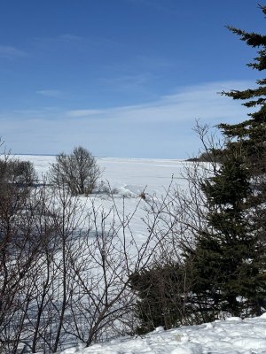 IMG_2532.jpeg IMG_2532.jpeg