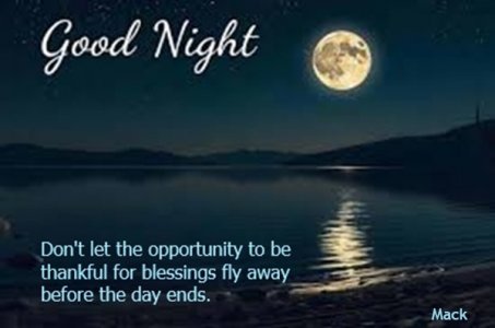 night 11 04 25 and 02 28 26.jpg