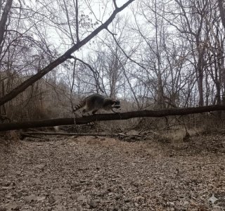 unnamed (7).jpg unnamed (7).jpg