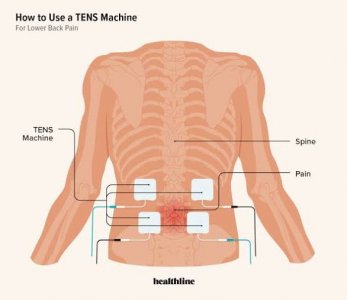 IMG_2553.jpeg IMG_2553.jpeg