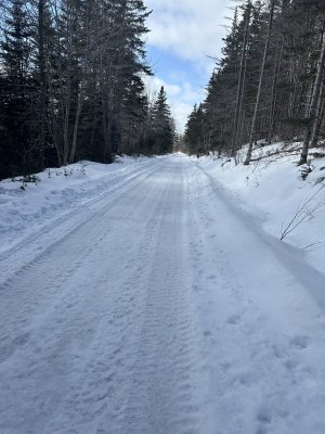 IMG_2560.jpeg IMG_2560.jpeg