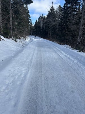 IMG_2561.jpeg IMG_2561.jpeg