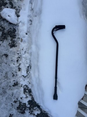 IMG_2564.jpeg IMG_2564.jpeg