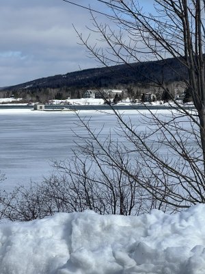 IMG_2562.jpeg IMG_2562.jpeg