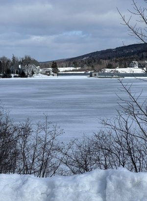 IMG_2563.jpeg IMG_2563.jpeg