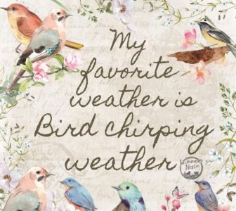 038f547dbf0c33b8e45bb993e3cab428.jpg 038f547dbf0c33b8e45bb993e3cab428.jpg