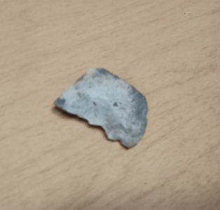 IMG_20260302_191656.jpg IMG_20260302_191656.jpg