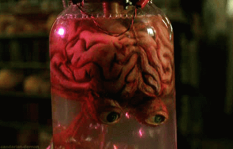 1772516567918.gif 1772516567918.gif