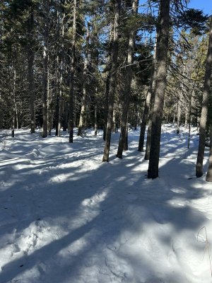 IMG_2576.jpeg IMG_2576.jpeg