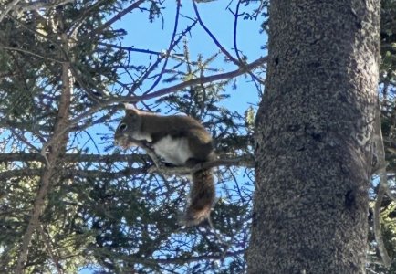 IMG_2577.jpeg IMG_2577.jpeg