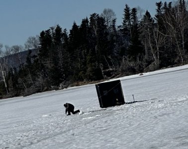 IMG_2573.jpeg IMG_2573.jpeg