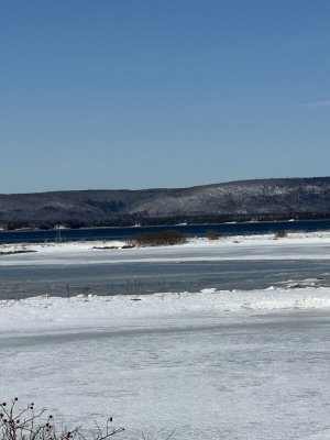 IMG_2574.jpeg IMG_2574.jpeg