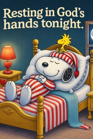 Resting in God's hands tonight.jpg