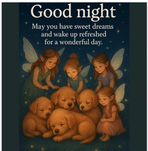 Screen Shot 2026-02-19 at 6.55.40 PM.jpg