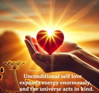 IMG_20260222_175738.jpg IMG_20260222_175738.jpg