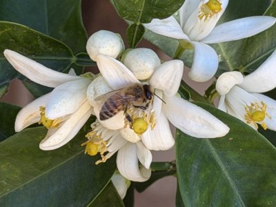 IMG_3476.jpeg IMG_3476.jpeg