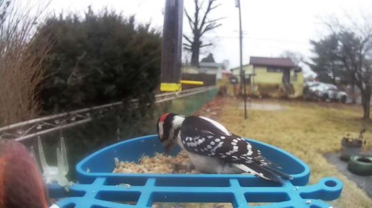 WhatsApp Image 2026-03-06 at 15.58.52 (1).jpeg