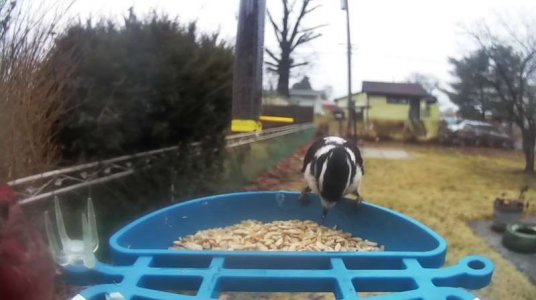 WhatsApp Image 2026-03-06 at 15.58.52.jpeg