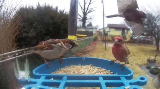 WhatsApp Image 2026-03-06 at 15.58.52 (3).jpeg