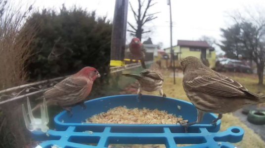 WhatsApp Image 2026-03-06 at 15.58.52 (2).jpeg