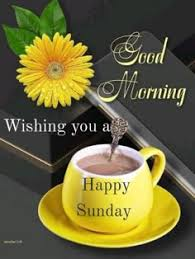 1772980569704.png 1772980569704.png