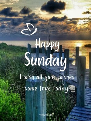 Happy-Sunday-With-Good-Morning-Wishes.jpg Happy-Sunday-With-Good-Morning-Wishes.jpg