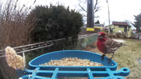 WhatsApp Image 2026-03-08 at 15.57.07 (2).jpeg