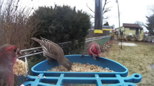 WhatsApp Image 2026-03-08 at 15.57.07 (1).jpeg