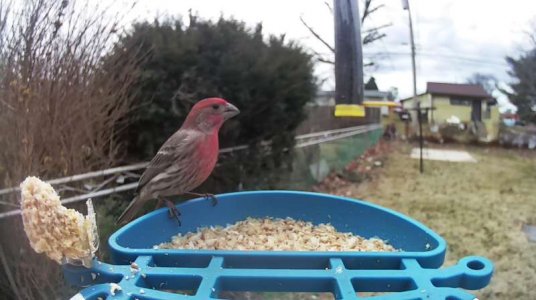 WhatsApp Image 2026-03-08 at 15.57.07.jpeg