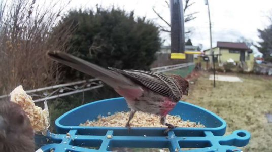 WhatsApp Image 2026-03-08 at 15.57.06 (1).jpeg