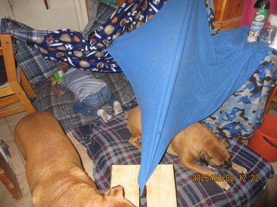 IMG_6895.JPG IMG_6895.JPG