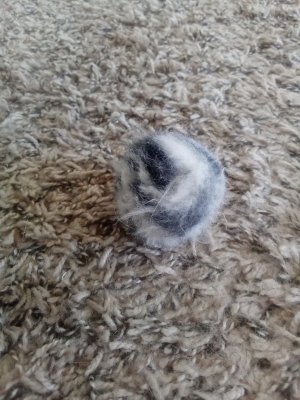 pompom.jpg