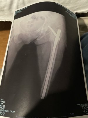 IMG_3612.jpeg IMG_3612.jpeg