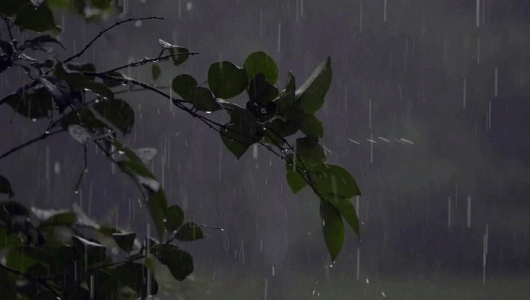rainy.gif