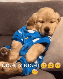 good-night-dog.gif