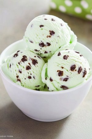 mint-chocolate-chip-ice-cream-682x1024.jpg